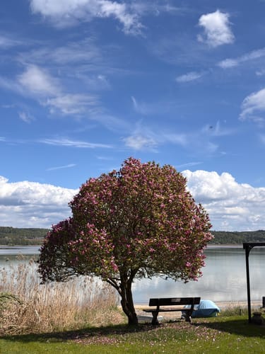 Reichenau Rundweg