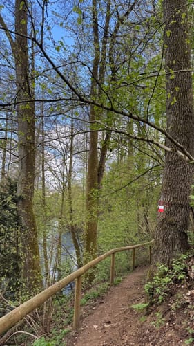 Rundwanderweg Sperlhammer (Bk01)