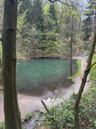 Grüner See - Nonnenstein - Neue Mühle
