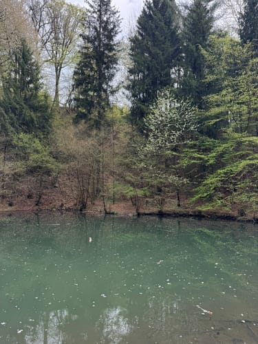Grüner See - Nonnenstein - Neue Mühle