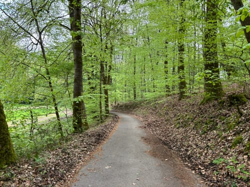 Deutsche-Französischen Garten über den Schanzen nach Schöneck
