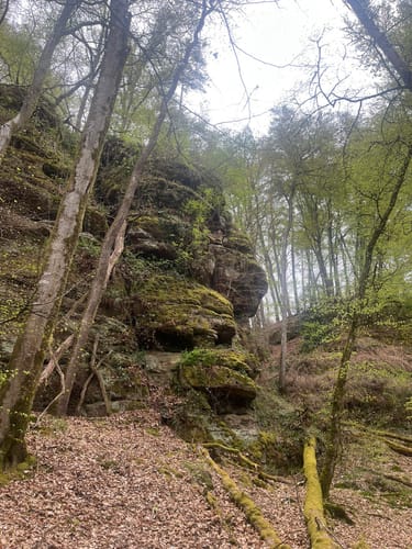 König Johann Runde (Traumschleife)