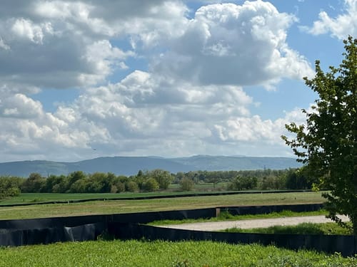Von Rheinstetten zum Hardtwald