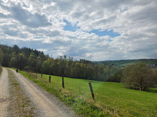Bismarckeiche Rundweg A2: Um den Kohlenberg