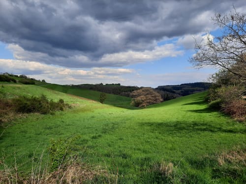 Plütscheid (Naturpark Südeifel Wanderweg Nr. 19)