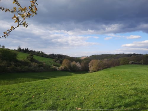 Plütscheid (Naturpark Südeifel Wanderweg Nr. 19)