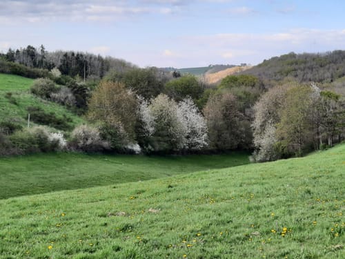 Plütscheid (Naturpark Südeifel Wanderweg Nr. 19)