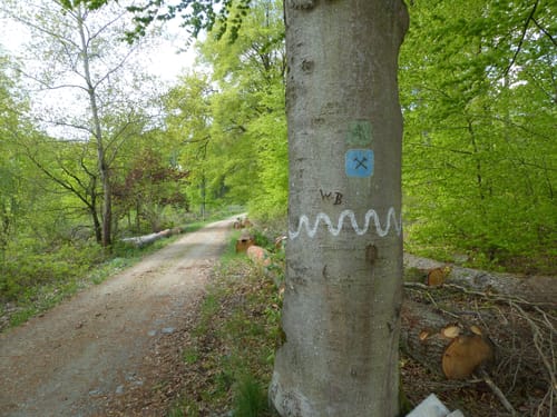 Werlauer Erzweg
