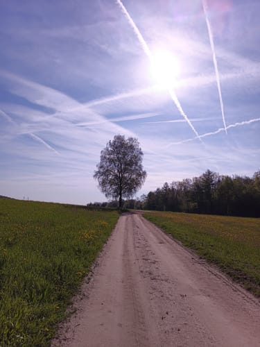 Rüttebuck-Route