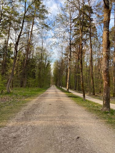 Valznerweiher im Lorenzer Reichswald