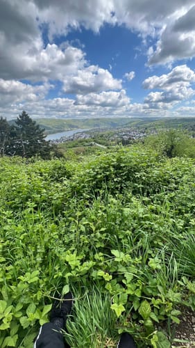 RheinBurgenWeg Etappe 7: Koblenz - Rhens