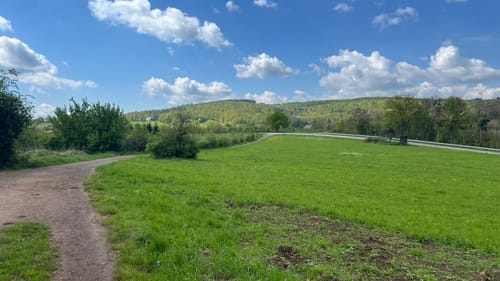 RheinBurgenWeg Etappe 7: Koblenz - Rhens