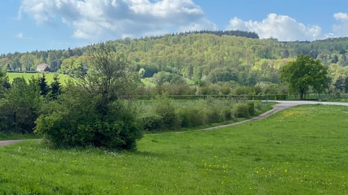 RheinBurgenWeg Etappe 7: Koblenz - Rhens