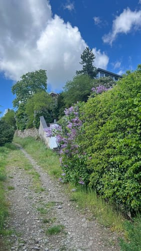 RheinBurgenWeg Etappe 7: Koblenz - Rhens