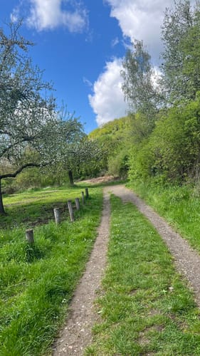 RheinBurgenWeg Etappe 7: Koblenz - Rhens
