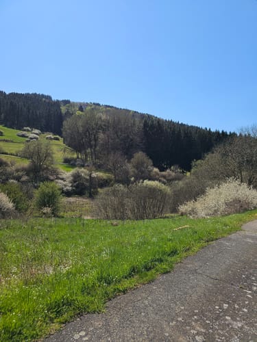 Wallender Born Rundweg