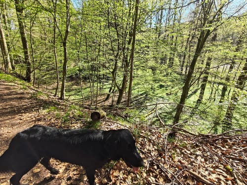 Pilgerweg Loccum-Volkenroda