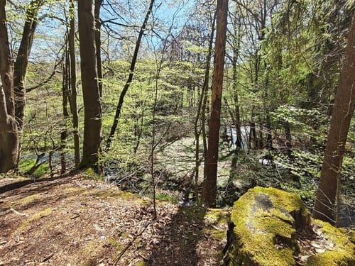Pilgerweg Loccum-Volkenroda