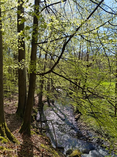 Pilgerweg Loccum-Volkenroda