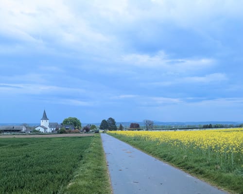 Rheinbach 2