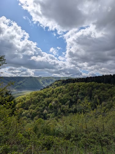 Zitronenkrämerkreuz (Premiumwanderweg)