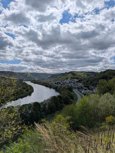 Zitronenkrämerkreuz (Premiumwanderweg)