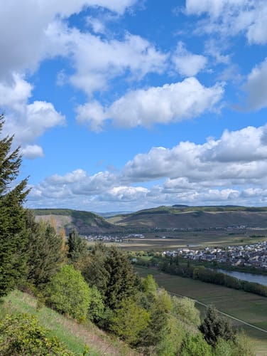 Zitronenkrämerkreuz (Premiumwanderweg)