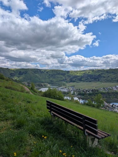 Zitronenkrämerkreuz (Premiumwanderweg)
