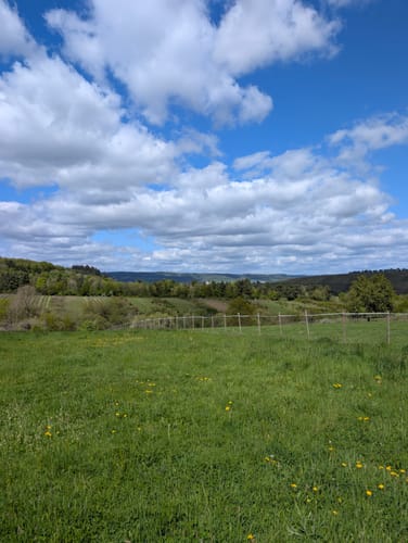 Zitronenkrämerkreuz (Premiumwanderweg)