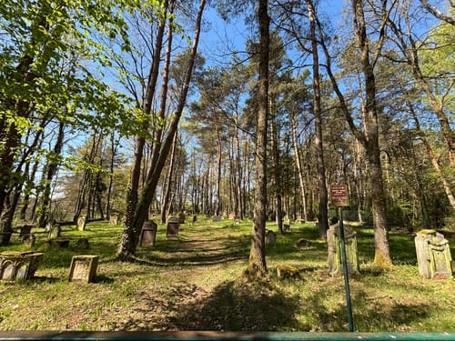 Durch die Mehlinger Heide