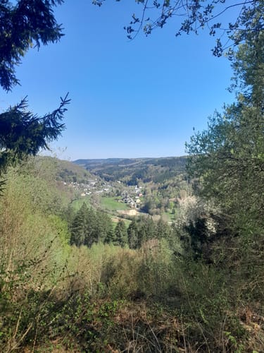 Durch die Kyllburg Wandereifel