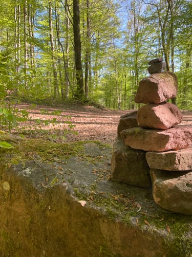 Vom Gasthof Zum Spessart zum Wasserschloss Mespelbrunn