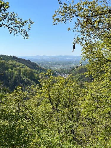 Sayner Aussichten (Premiumspazierwanderweg)