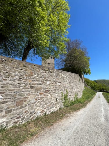 Sayner Aussichten (Premiumspazierwanderweg)