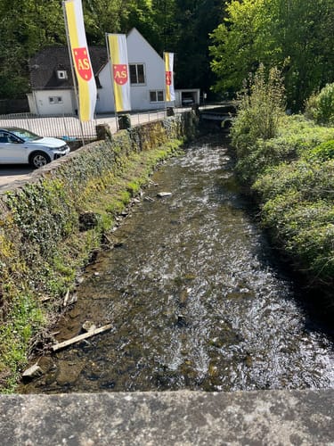 Sayner Aussichten (Premiumspazierwanderweg)