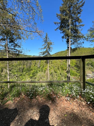 Sayner Aussichten (Premiumspazierwanderweg)