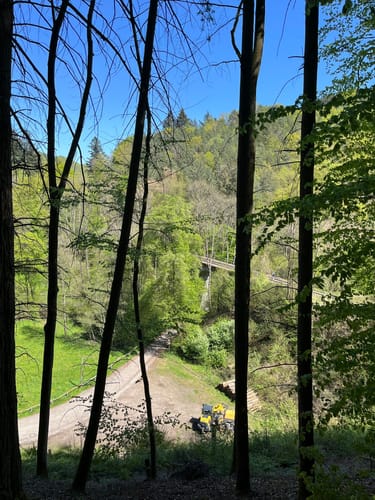 Sayner Aussichten (Premiumspazierwanderweg)