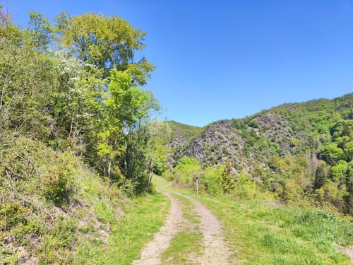 Rheinsteig Etappe 14: Kestert - St. Goarshausen