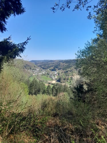 Durch die Kyllburg Wandereifel