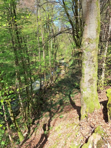 König Johann Runde (Traumschleife)