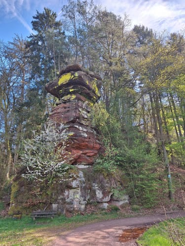 König Johann Runde (Traumschleife)
