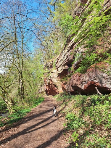 König Johann Runde (Traumschleife)