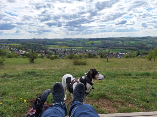 König Johann Runde (Traumschleife)