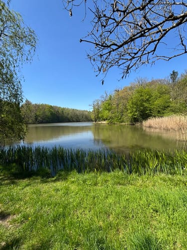 Netzbachweiher Rundweg