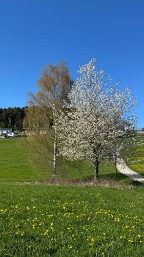 Rundweg Lederdorn - Haidstein - Reckendorf (Bl02)