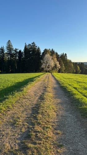 Rundweg Lederdorn - Haidstein - Reckendorf (Bl02)