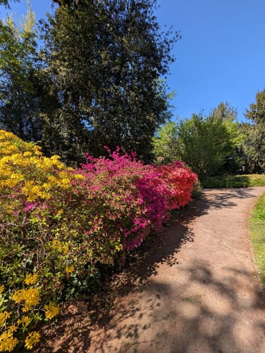 Schlosspark Benrath