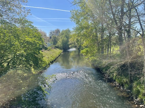 Grenswaterwandeling: Twee Schildpadden van de Vriendschap