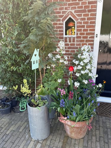 Bourtange - Abeltjeshuis