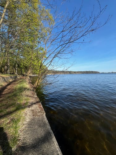 Schmetterlingshorst - Langer See Rundwanderung
